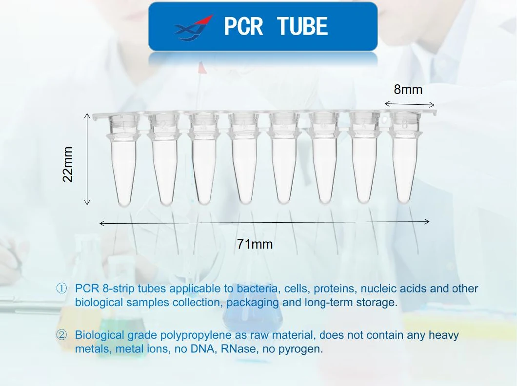 0.1ml PCR Tube Polypropylene PCR Tubes Strips Transparent PCR Reaction Tubes 12 Strips