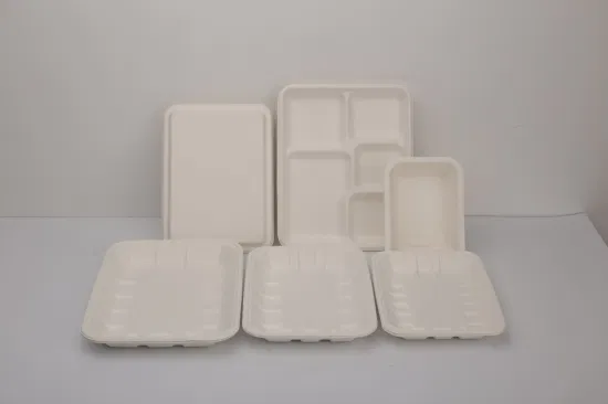 Bagasse Paper Pulp Bento Container Lunch Box Biodegradable Food Container School&Restaurant Takeaway Plate Lid